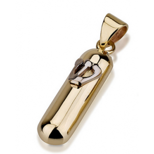 14k Yellow Gold Rounded Mezuzah Pendant with Hebrew Shin in Shiny White Gold 