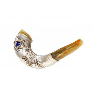 Polished Ram's Horn with Silver Sleeve & Hebrew Verse by Barsheshet-Ribak  Shofares