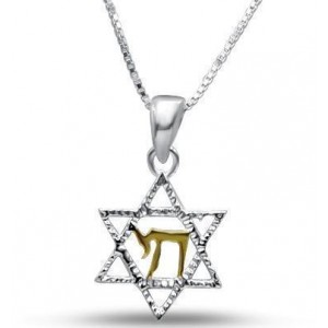 Star of David Necklace in Sterling Silver with Gold-Plated Chai Star of David Jewelry