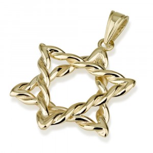 14k Gold Twisted Rope Star of David Pendant by Ben Jewelry
