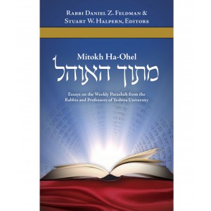 Mitokh Ha-Ohel: Essays on the Parsha from YU – Rabbi Daniel Feldman (Hardcover) Bücher & Medien
