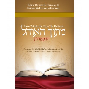 Mitokh Ha-Ohel: Essays on the Haftara from YU – Rabbi Daniel Feldman (Harcover) Bücher & Medien
