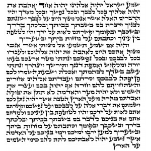 Ashkenazi Mezuzah Scroll, 15 cm Mezuzah Scrolls/Parchments