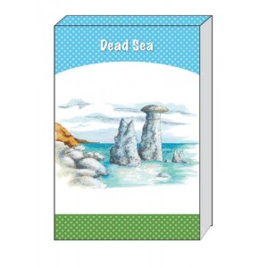 Hardcover Notebook with Large Dead Sea Illustration