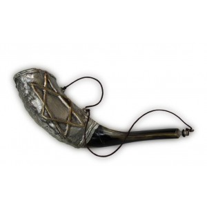 Anointing Ram Horn Shofar with Golden Star of David in Sterling Silver Shofares