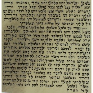 Ashkenazi Mezuzah Scroll, 10 cm Mezuzah Scrolls/Parchments