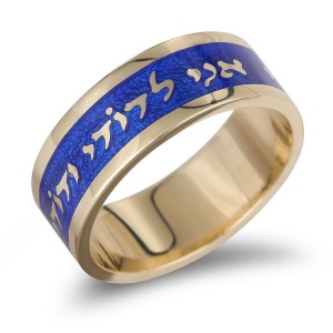 Blue Enamel and 14K Gold Ani LeDodi Ring by Anbinder Jüdische Ringe