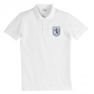 Jerusalem Emblem Polo Shirt (Variety of Colors) Israelische T-Shirts