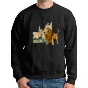 Jerusalem Sweatshirt with Lion (Variety of Colors to Choose From) Israelische Hoodies