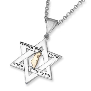 No Other Land Star of David Necklace Made From Sterling Silver and Gold Israelischen Unabhängigkeitstag