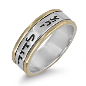Sterling Silver Customizable English/Hebrew Ring With Gold Stripes Namensketten