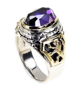 Rafael Jewelry Sterling Silver Ring with Yellow Gold Lion of Judah & Jerusalem Motif and Amethyst