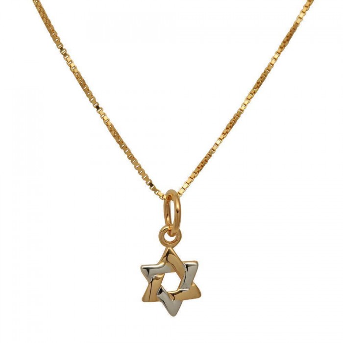 Polished Two Tone Gold and Rhodium Plated Star of David Pendant