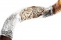 Polished Yemenite Horn Shofar - Silver Sleeve & Lion of Judah