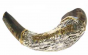 Ram's Polished Horn with Two-Tone Silver Sleeve & Hebrew Lettering by Barsheshet-Ribak 